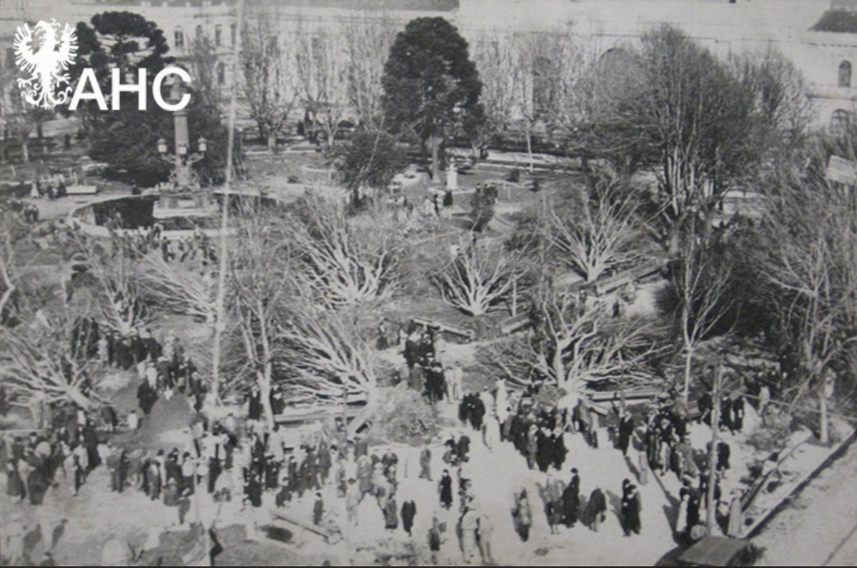 Esta es la mejor foto del estado en quedó la plaza Independencia en Concepción, con la mayoría de sus Tilos en el suelo.