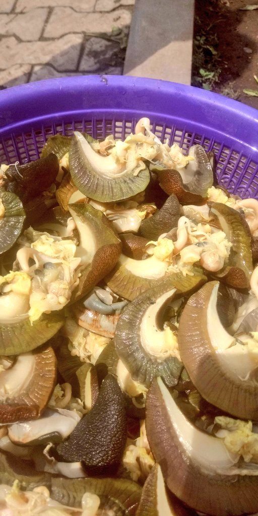 Washed jumbo sized snails... 55,000 naira.