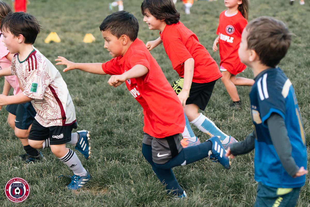 ⚽️ Soccer for Kids (Ages 4 to 8)

Want to join? Contact us!
info@tocajuniors.com

🔵🔴 #WeAreToca #TOCA #tocajuniors #PLAYsimple #TOCAsimple #Futbol #Football #soccer #YouthSoccer #Boys #Girls #activekids #springtraining #springsoccer #littlekickers #soccerforkids 
@bownetusa