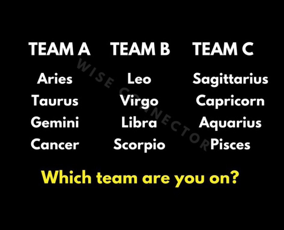 Team B. You?