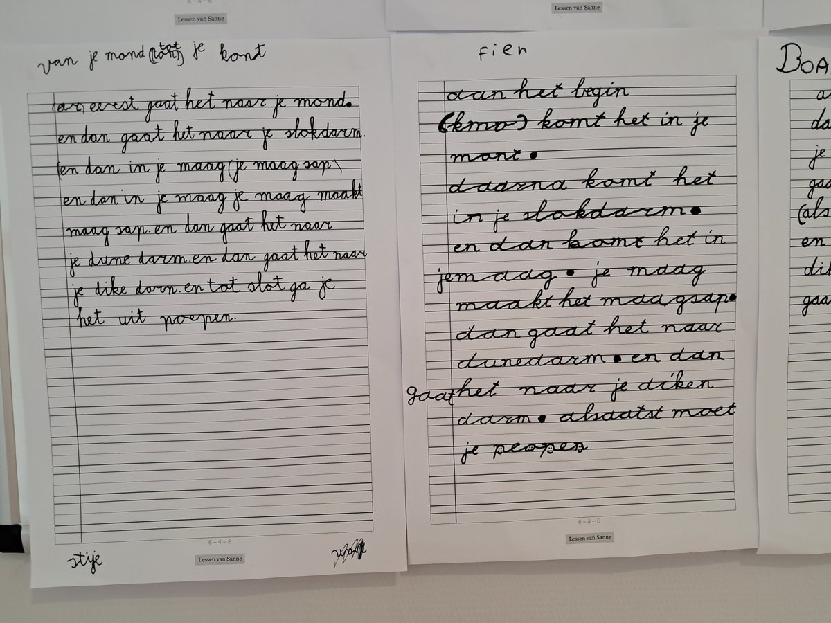Na de ervaringstekst was in groep 3 nu het schrijven van een informatieve tekst aan de beurt. We lazen verschillende teksten over de spijsvertering, spraken erover en maakten er aantekeningen bij. Die aantekeningen waren een fijne hulp bij het schrijven van de tekst.