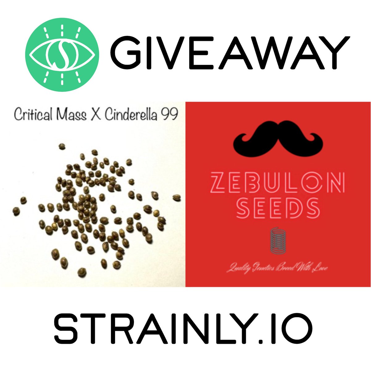 🚨 GIVEAWAY TIME! 🚨 Courtesy of Zebulon Seeds on Strainly x1 Pack of Critical Mass X Cinderella 99 ✅Tag 3 Friends below ✅Follow @_strainly ✅Retweet and Like ⚡️BONUS = follow Zebulon Seeds on Strainly (link below). Ends 05-30 ~ Ships 🌍 Good luck !