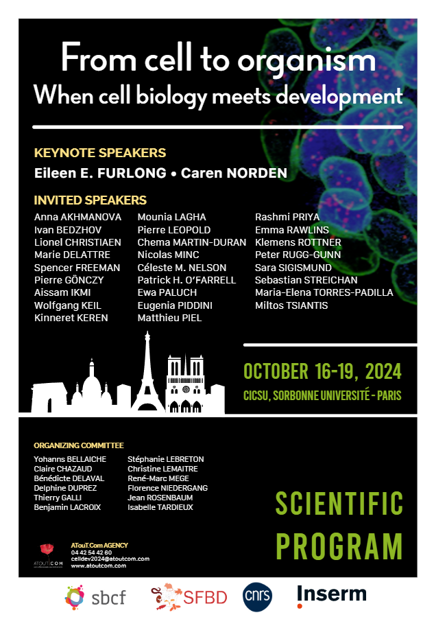 bellaiche_y's tweet image. Early bird registration deadline is approaching soon!
June 14th, 2024:
“From Cells to Organism: When Cell Biology Meets Development”
Paris, October 16-19, 2024
@sbd_biodev, @SBCF1, @CNRS, @Inserm
atoutcom.com/cell-developme…