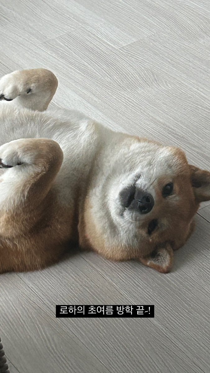 MILLENNIUM(최래성) Thailand(Sloth🦥) tweet media