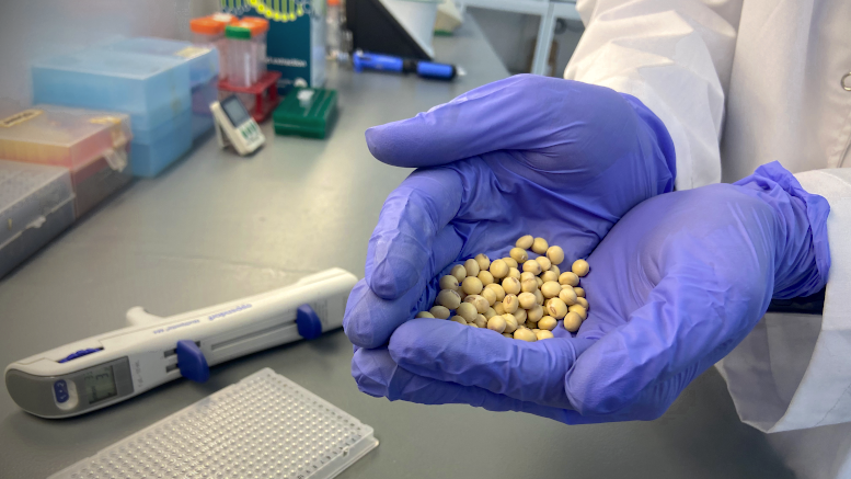 🧬𝗨𝗡 𝗣𝗨𝗘𝗡𝗧𝗘 𝗘𝗡𝗧𝗥𝗘 𝗟𝗔 𝗔𝗖𝗔𝗗𝗘𝗠𝗜𝗔 𝗬 𝗟𝗔𝗦 𝗘𝗠𝗣𝗥𝗘𝗦𝗔𝗦
Desde la FAUBA promueven el desarrollo de la industria semillera...
📡bit.ly/labsemillas
🧵1/3

#UBA #FAUBA #SLT <a href="/AgronomiaUBA/">FAUBA</a> <a href="/UBAInvestiga/">UBA Investigación</a> <a href="/UBAonline/">UBAonline</a>