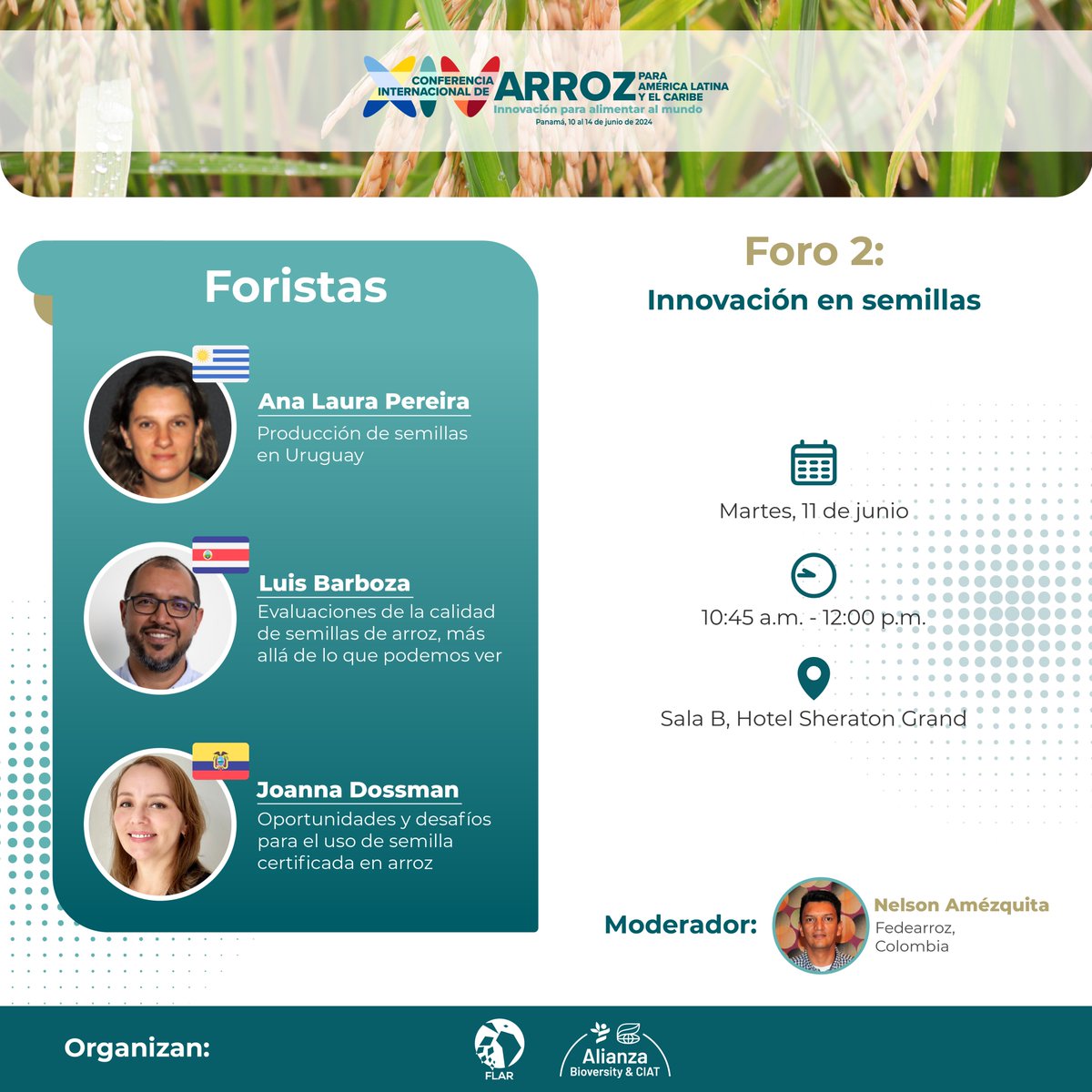 arrozFLAR's tweet image. #Foros | Aprende sobre innovación en semillas🌱de la mano de expertos del @INIA_UY 🇺🇾, #CIGRAS @UniversidadCR 🇨🇷 e #Interoc 🇪🇨. Conoce sobre este y más foros en la XIV Conferencia internacional de arroz: conferenciaarrozalc.com/programa/