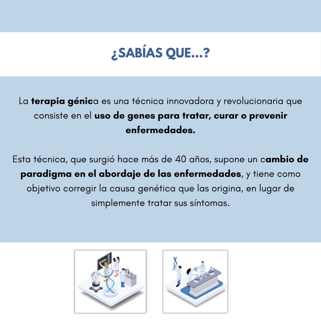 🔬A medida que avancen las investigaciones y se superen desafíos técnicos, la terapia génica tendrá el potencial de proporcionar tratamientos más precisos y personalizados ¿Quieres saber más? #HablandoSobreTerapiaGénica y #MedicinaPersonalizadaDePrecisión institutoroche.es/recursos/publi…