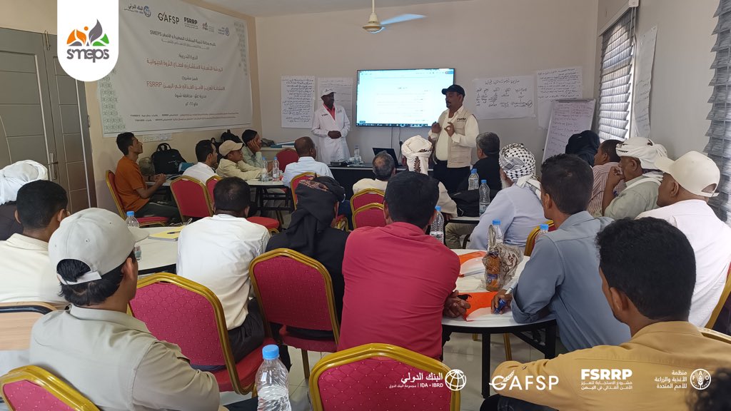 SMEPSYEMEN's tweet photo. In Preparation for Dairy Value Chain Support Activities! 🧈
A training workshop for livestock filed consultants was held in #Ataq district, in #Shabwah. The workshop brought together:
•31 consultants. ✅
•21 districts. ✅
•6 governorates. ✅
The aim is to equip consultants with the necessary skills & knowledge 📚 in veterinary medicine 💉 & livestock production 🐏 and explain the project's implementation approach.
#FSRRP project implemented by #SMEPS in partnership with @FAO, funded by @WorldBankMENA.