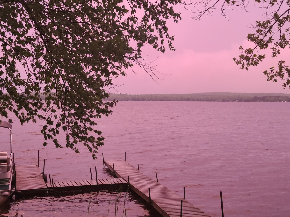 Everything was very pink for a while up here in the Northwoods at sunset after the rain came through