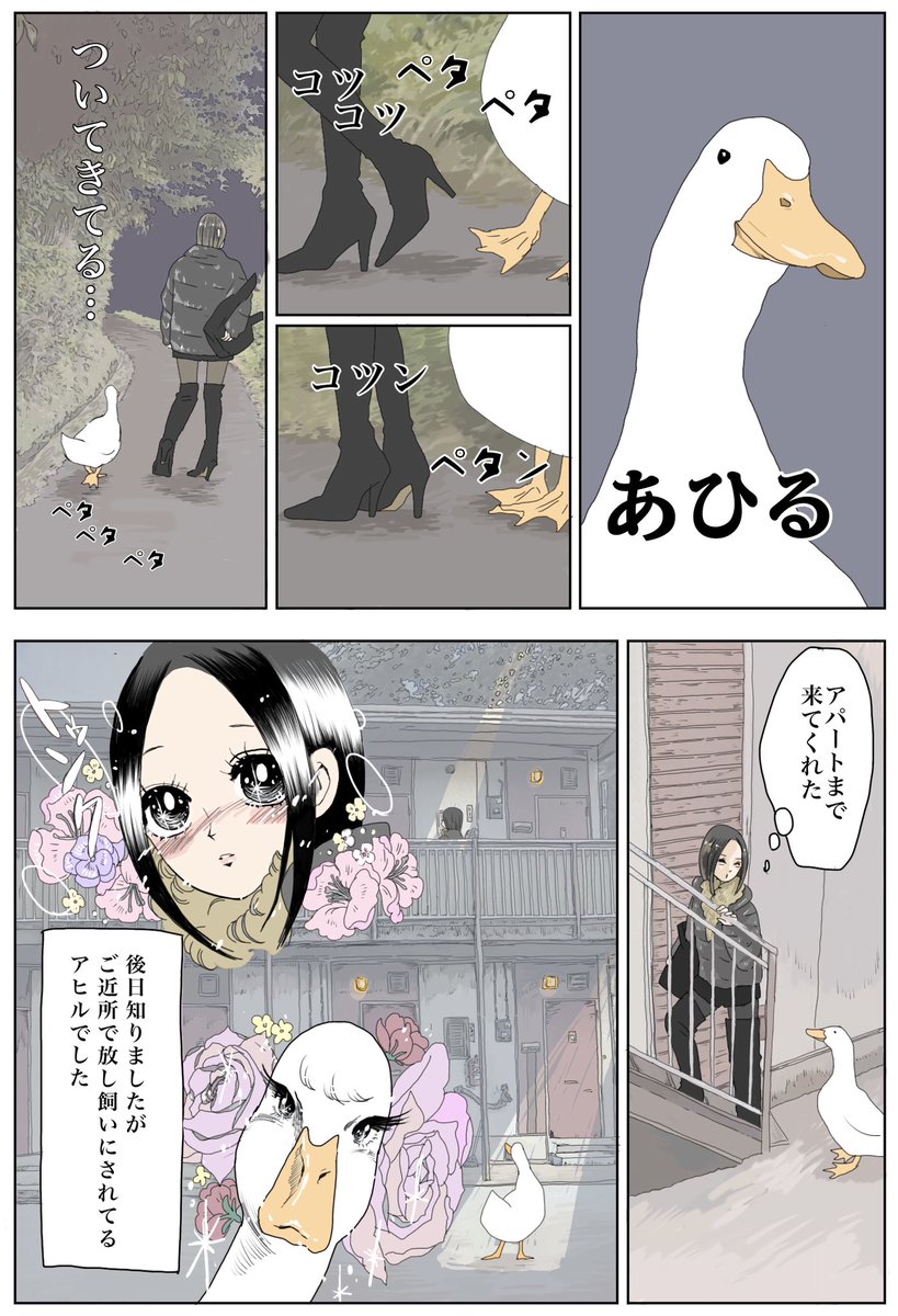 「どうしてアヒルを飼おうと思ったの?」とよく質問されます。飼い主が大学生の時に出会ったアヒルがきっかけのようです🐥
#エースとヨバン
#漫画が読めるハッシュタグ