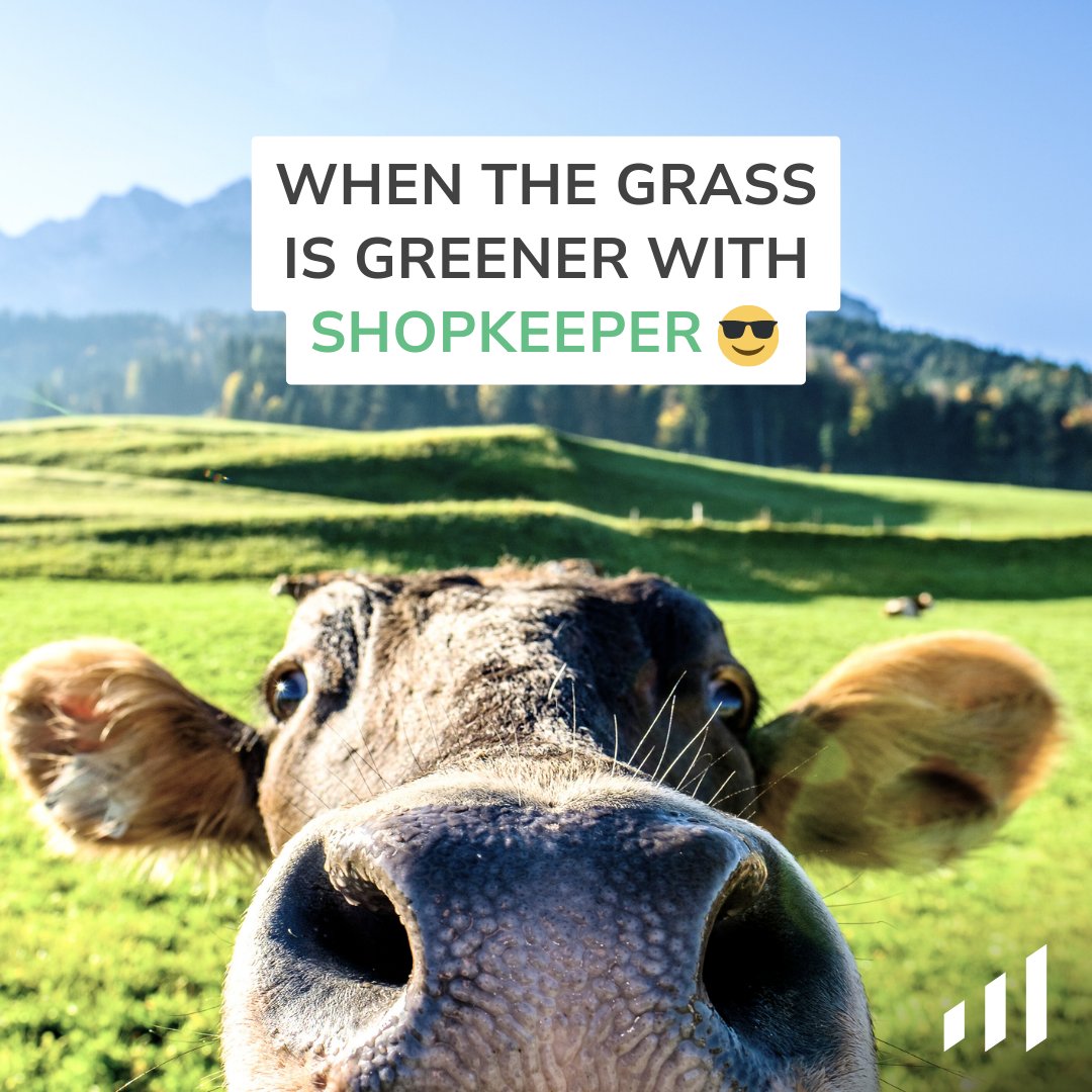 It’s easy to see success dawning when you know you’ve got the right tools to win 🏆😉💰

Want to learn how Shopkeeper can take your Amazon business to the next level? Click shopkeeper.com/register

#Shopkeeper #AmazonSellerSupport #AmazonSellersClub #AmazonSellerCentral