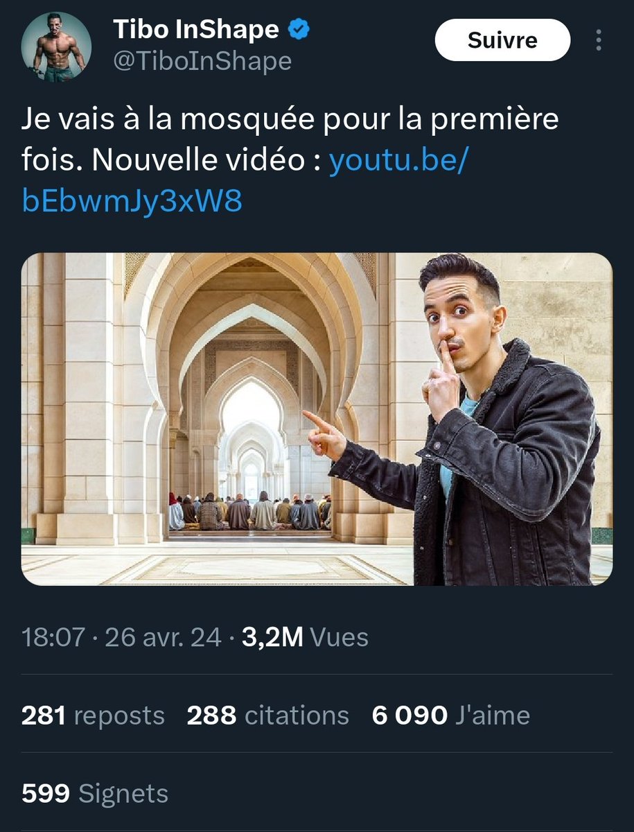 N'oubliez pas que pour la gauche tout Blanc qui ne s'excuse pas de l'être et qui n'est pas une serpillière est de droite et identitaire. En vérité Tibo est un gars avec un état d'esprit plutôt normie, et le fait qu'il soit perçu comme facho indique le niveau de gauchisme du pays.