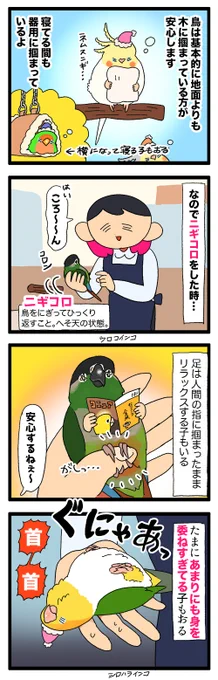 ニギコロされてる時にあんよでキュッと掴まっていると安心するインコちゃんと身を委ねすぎてるインコちゃん🐤

1132 #えるポピの絵日記かくところ 