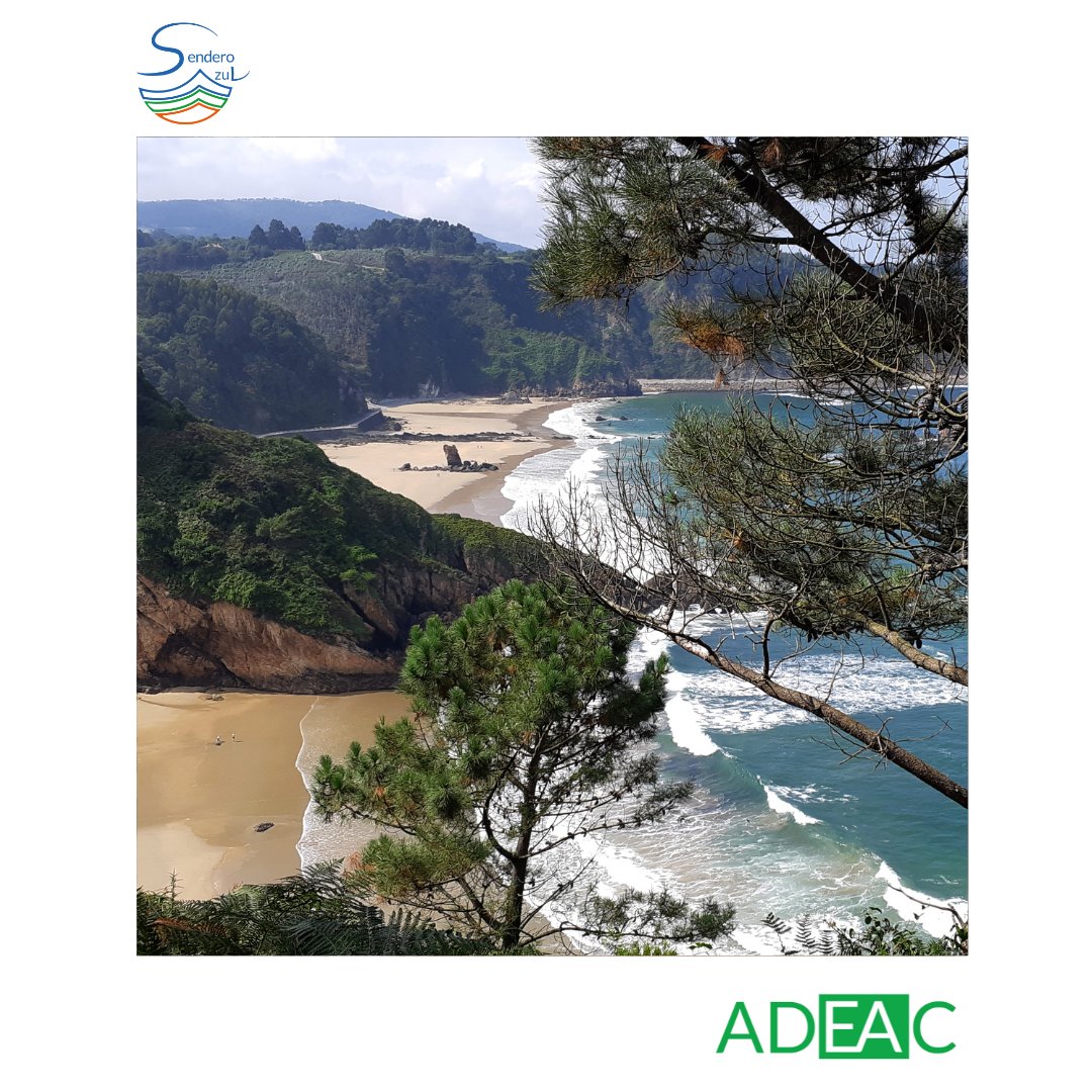 ➡️ Os invitamos a visitar la web y la cuenta oficial <a href="/SenderosAzules/">RedSenderosAzules</a> para saber más sobre los logros de este programa nacional tan único e importante 🌐

#senderosazules #adeac #conservacioncostera #turismoresponsable #naturaleza #ecoturismo #senderismo #biodiversidad