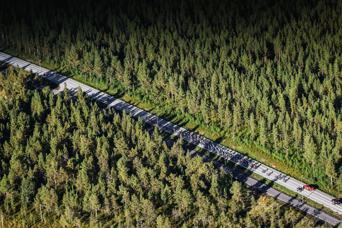 🌲 Trees, trees, trees and ... trees The official #ArcticRace set 🤩