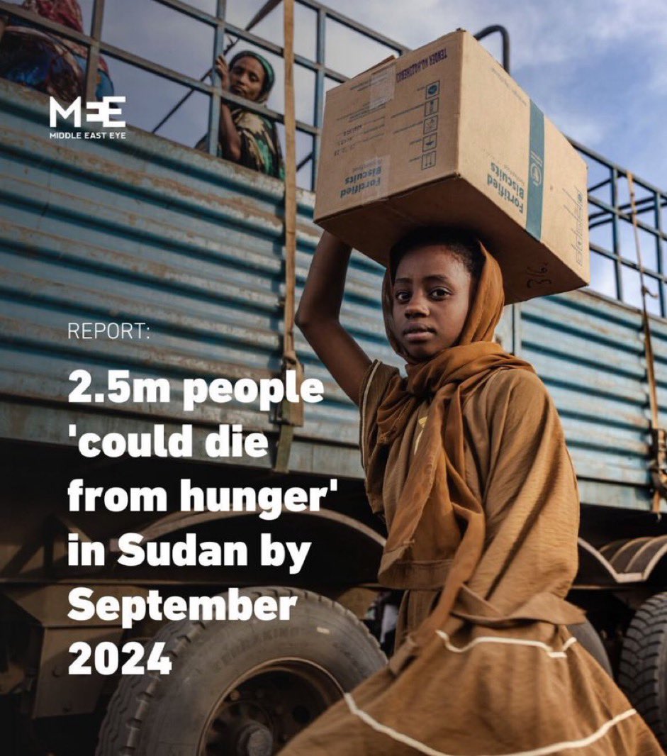 2.5 MILLION PEOPLE COULD DIE BY SEPTEMBER IN SUDAN DUE TO HUNGER!!!!

2,500,000 PEOPLE!

DOES THE WORLD EVEN HEAR US? I FEEL LIKE WE ARE SCREAMING INTO AN ENDLESS VOID!

OUR SCREAMS HAVE NO ECHO! 

#KeepEyesOnSudan