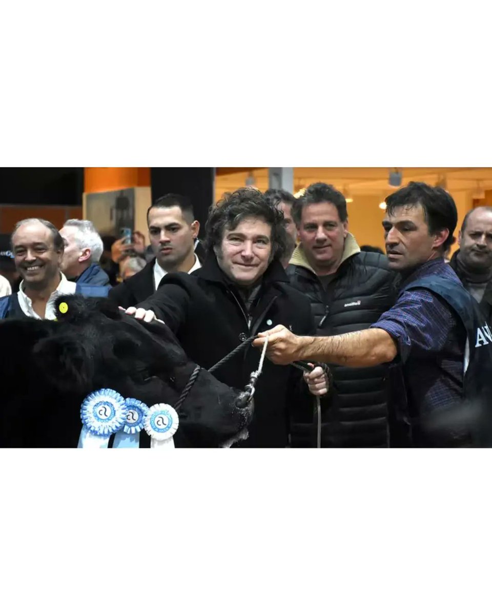 📝| Humberto Tumini via X (Twitter)

#LibresDelSurEnLaVeredaDeEnfrenteDeMilei

#LibresDelSur #Pilar #delviso #astolfi #derqui #villarosa #zelaya #lagomarsino #manuelalberti #manzone  #manzanares