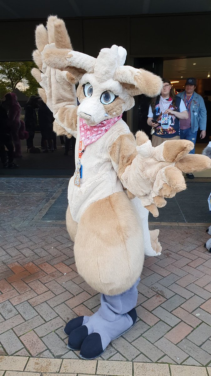 <a href="/BuckyBirbRoo/">Now on blu☁️</a> at #confuzzled #cfz2024 #cfz