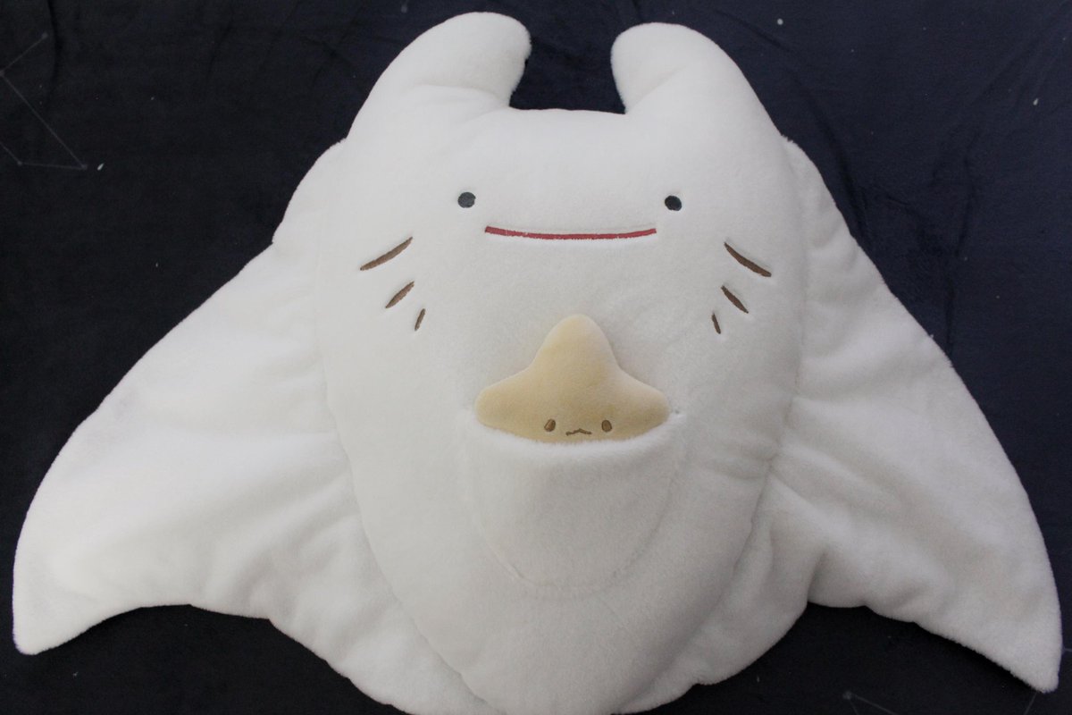 Trying to get some pics of the manta ray and whale shark plush samples 🌟🌟🌟