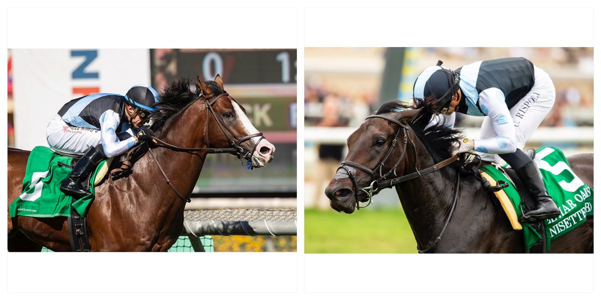 Memorial Day @santaanitapark: @umbyrispoli sports baby blue & black on Disposition MSW 3PT @mwmracing & MG1W Anisette @Leopowellracing G1, $300k Gamely 5PT. At 6PT GSW Air Force Red flies G1, $300k Shoemaker Mile @MaldonadoJockey in the tack. #TheShoeWantsYou #BelieveBig