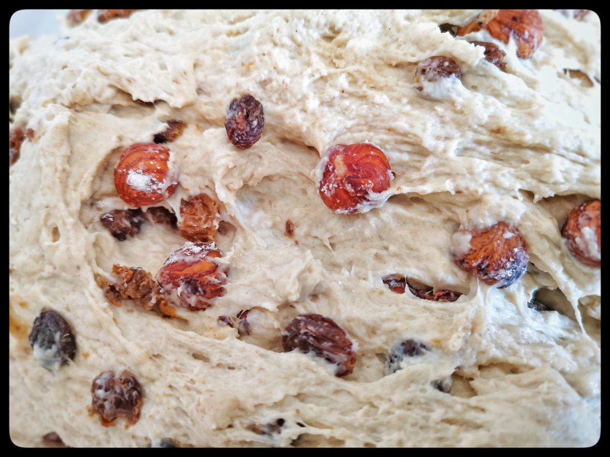 paindematthieu's tweet photo. Le pain raisins-noisettes est plutôt gourmand et très généreux en fruits secs aux #7epis !
#painaulevain https://t.co/Xh7e34xkEM