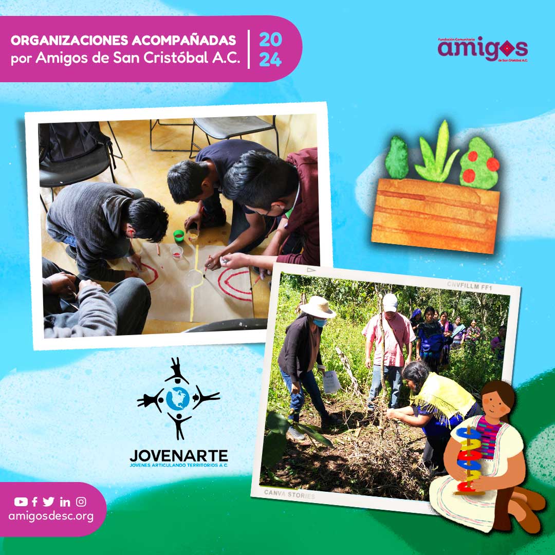 Amigos de San Cristóbal A.C tweet media