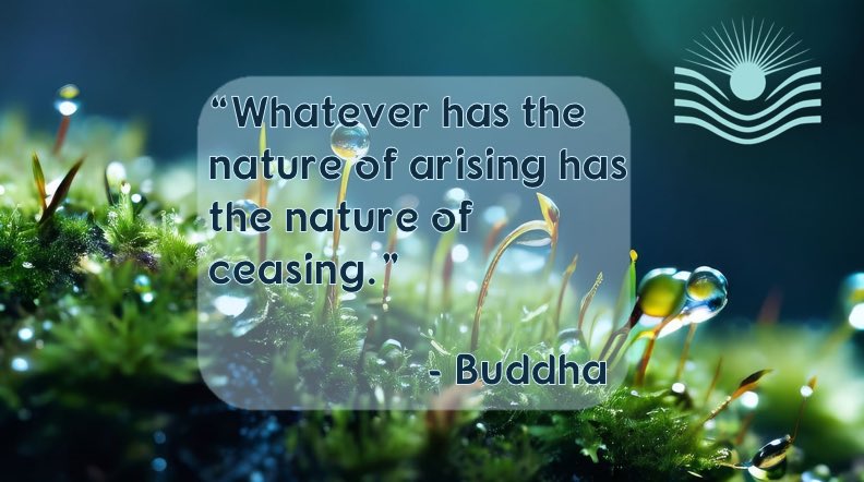 positivelyyoufl's tweet photo. Happy Mindful Monday!
Find peace in the knowledge that life is a cycle and all that you face will soon be overcome.
#livelifehappily #livelifebetter #bepositivelyyou https://t.co/1B6FDrF8cy