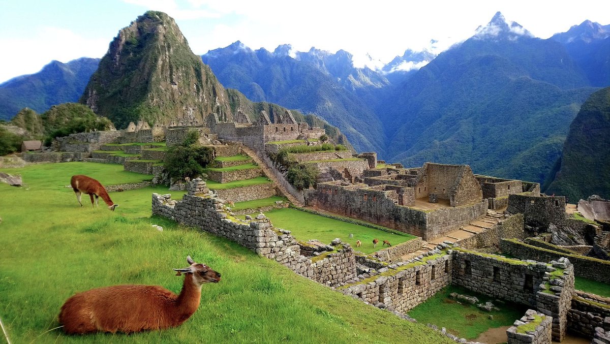 BRB, off to Peru ⛰️

Llama photos and more here: buff.ly/3sz2ysW 

#travel #gaytravel #lgbt #lgbttravel