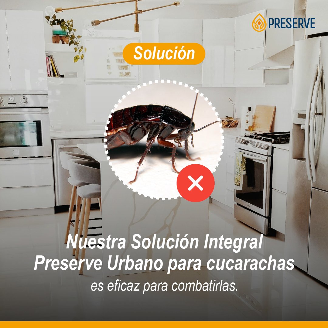 Grupo Preserve tweet media