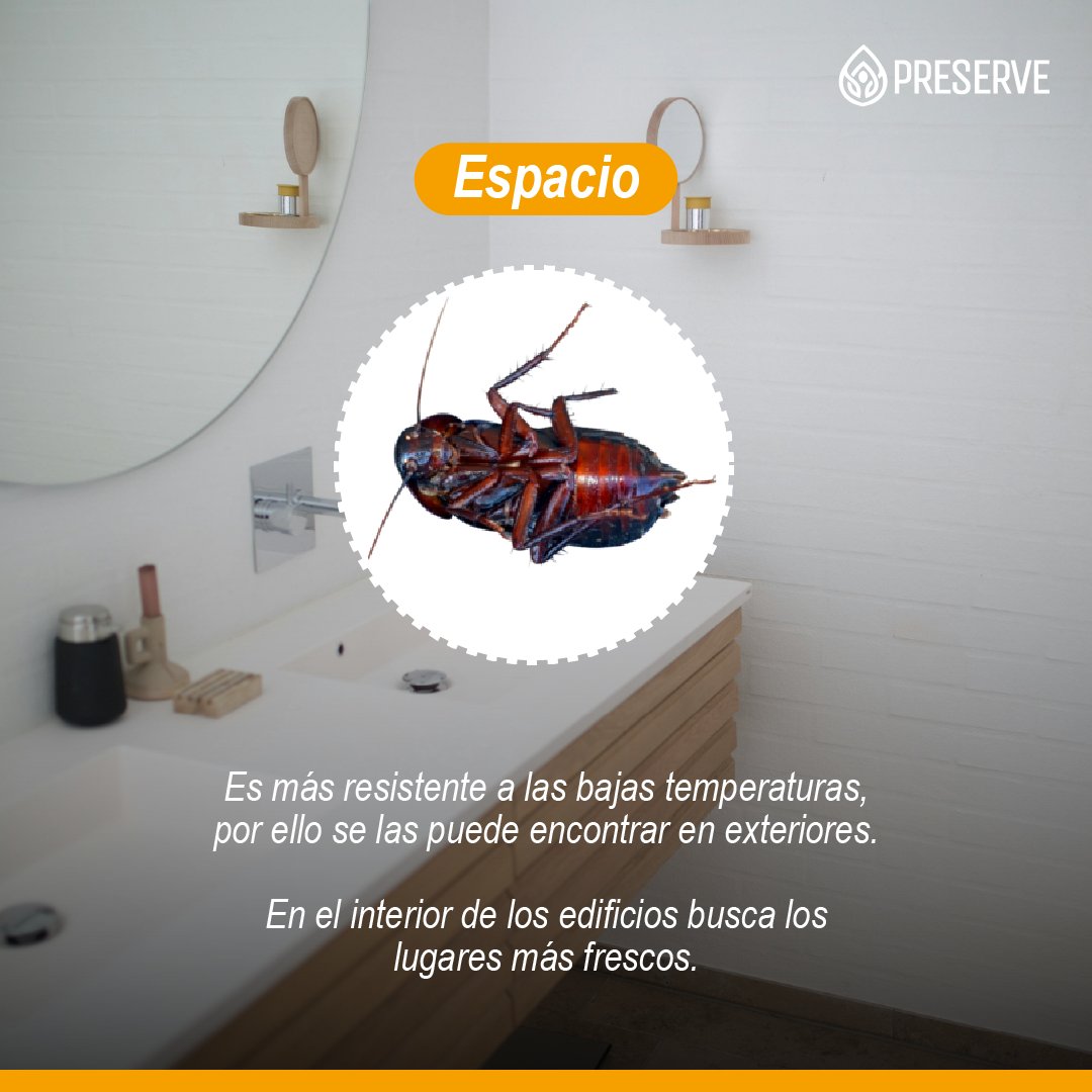 Grupo Preserve tweet media
