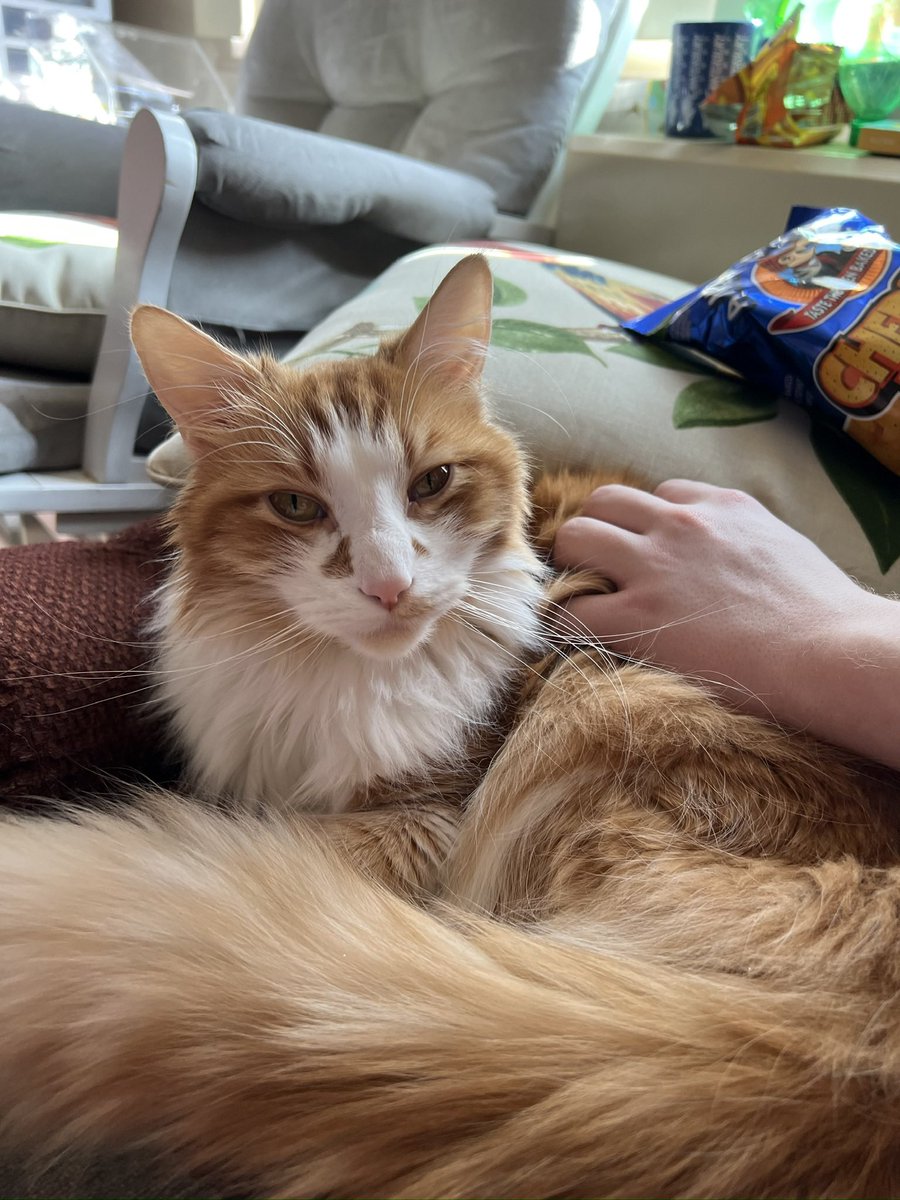 AlienMilkSoup's tweet photo. And an ear infection, so pls dm me or message me here, I am willing to do anything for my baby boy, https://t.co/Oy2Qi7hUcM