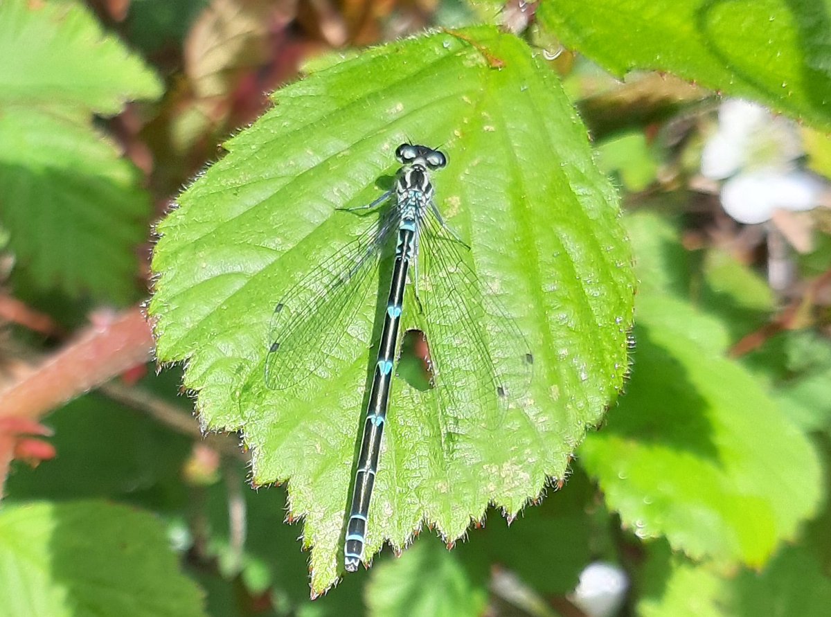 Janet Mee tweet media