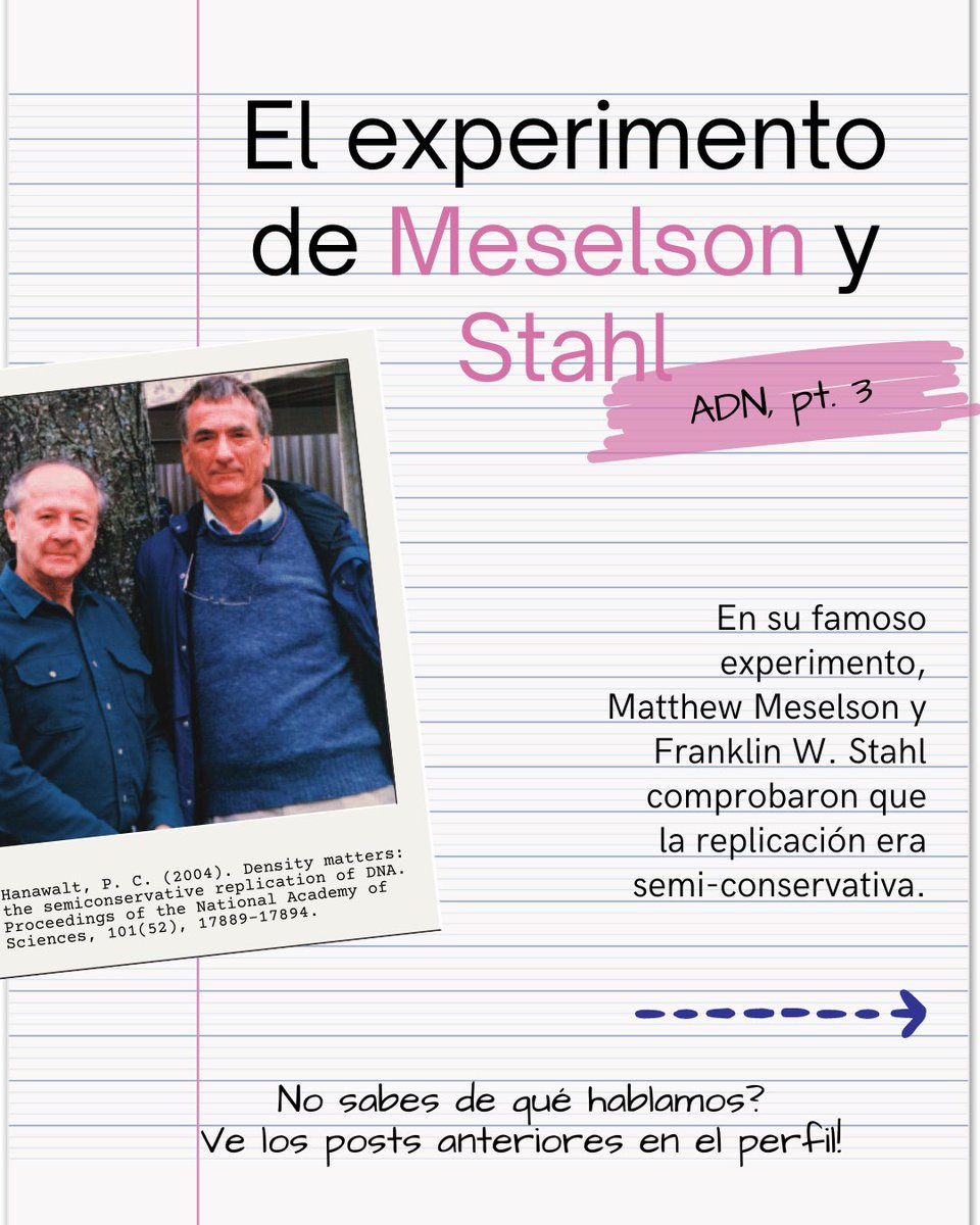 BiologaCuriosa's tweet photo. Ya hablamos de qué es el ADN y de la replicación, y no podía no contarles sobre el experimento de Meselson y Stahl, que de una manera muy simple y elegante demostró que la replicación era semiconservativa.
#ADN #replicación #DNA #biologiamolecular #molecularbiology #LBC #biologia https://t.co/ZNVCRahYkG