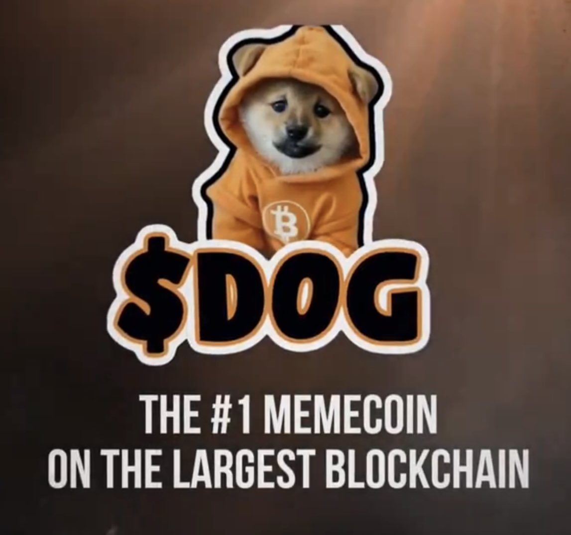 Degens are getting burned left and right on Memecoins, while 1% is making wealth🚨 Don't. Just Don't ape into anymore shit🚨 Choose $DOG 🧡 This adorable puppy Will never rug you $BTC #BTC #Runes #DOG