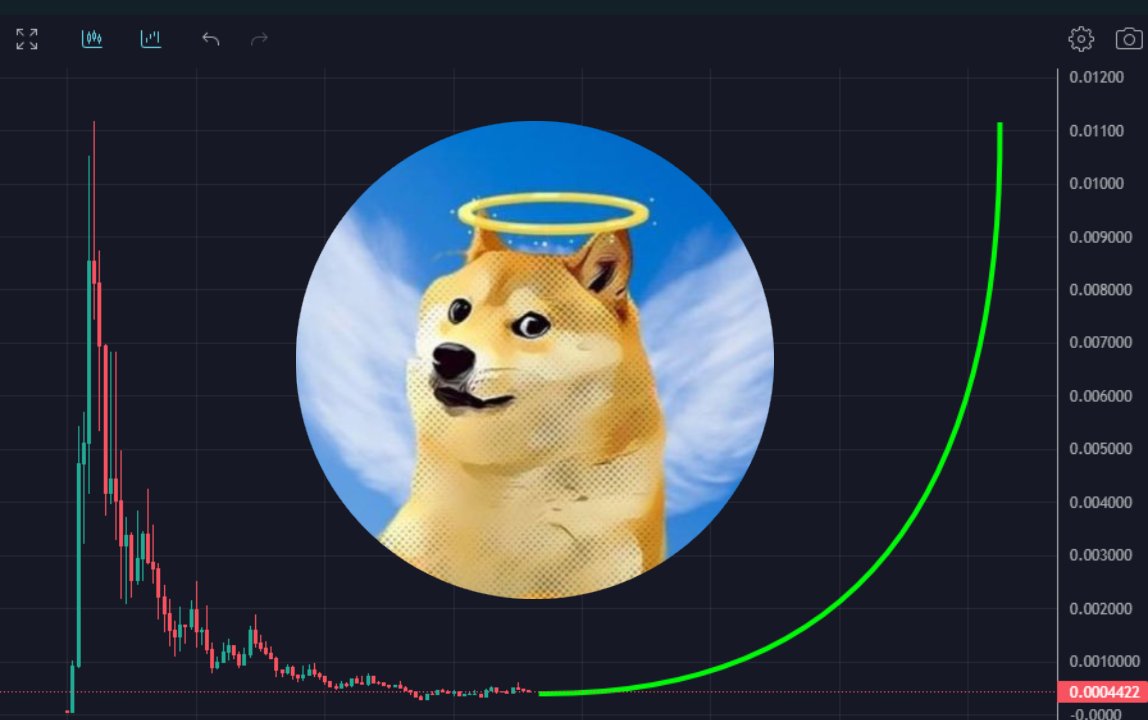 Would you buy this chart? Solana has seen crazier 😉

The $KABOSU push is starting. Me &amp; a few other KOLs have been bidding the floor &amp; will continue to move it up now

SEND IT 📈

$jenner $maga $tabby $pork $mog $cat $beer $ross $pepe $wif $myro $ponke $popcat $bonk $sc $andy