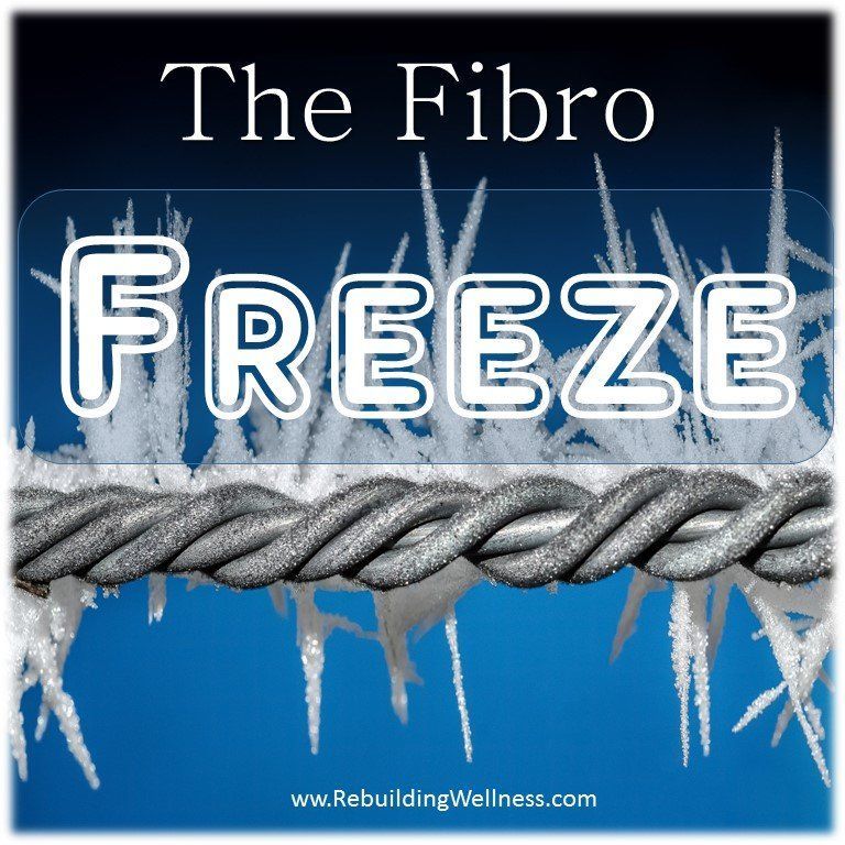 The Fibro Pain Freeze Response: What do pain, fatigue, poor circulation, fibro fog, and slowed digestion have in common with a Disney movie? By Sue Ingebretson buff.ly/4dROscl