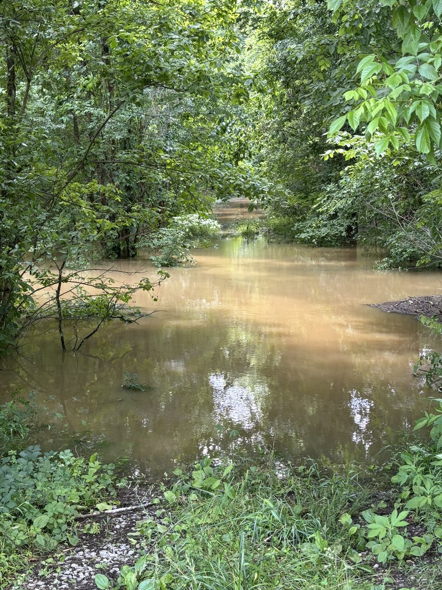 Steve McKinney tweet media