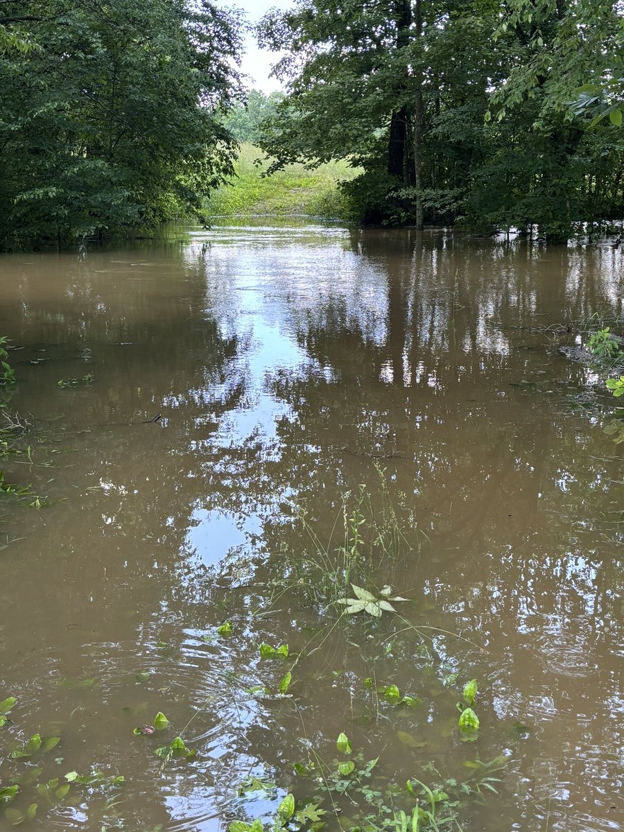 Steve McKinney tweet media