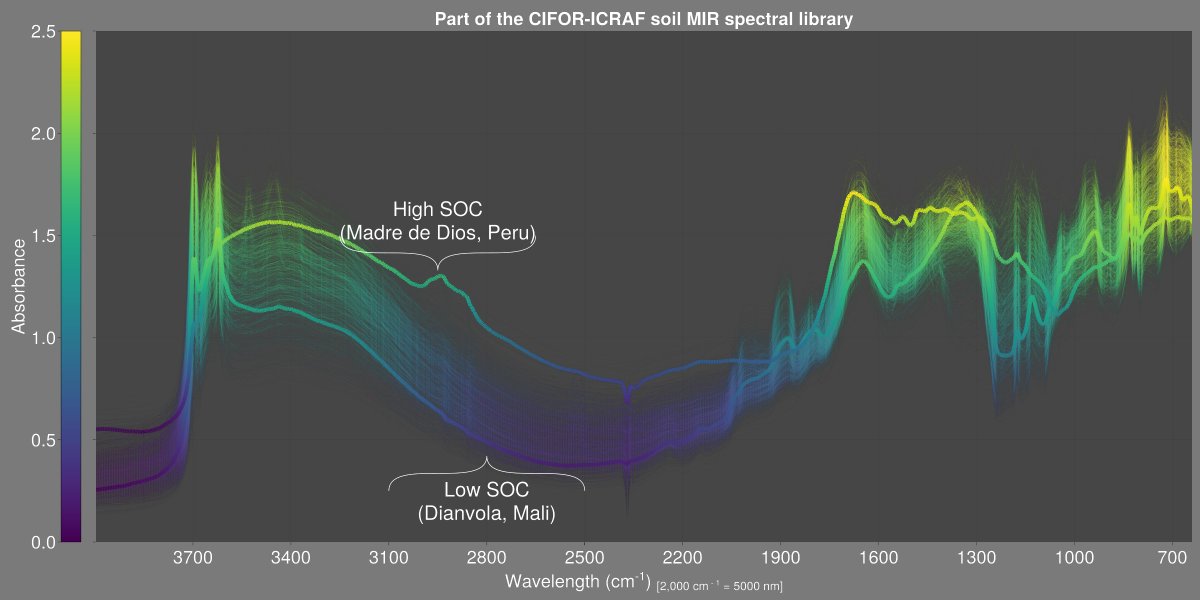 Innovating #soil health assessments with #spectroscopy across the global tropics! Showcasing the power of #data driven networks: 👉acsess.onlinelibrary.wiley.com/doi/10.1002/sa… @Sydney_Uni @IUSS_ORG @CIFOR_ICRAF @ZPittaki @BudimanSoil @ca4sh_global @ICRAF