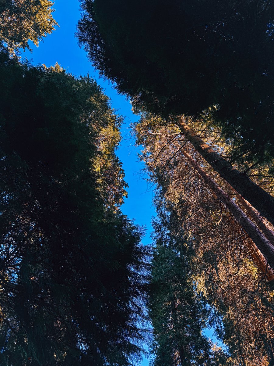 𝐼𝒶𝓃 𝑀𝒶𝓉𝓉𝒽𝑒𝓌𝓈 💙 tweet media