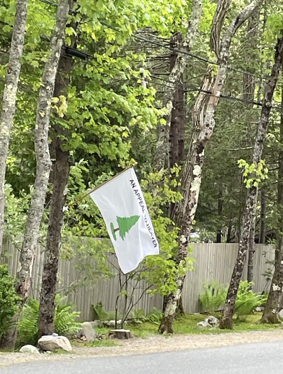 Some of Leo’s neighbors send pics from his house today — he is back to flying this flag x.com/rollingstone/s…