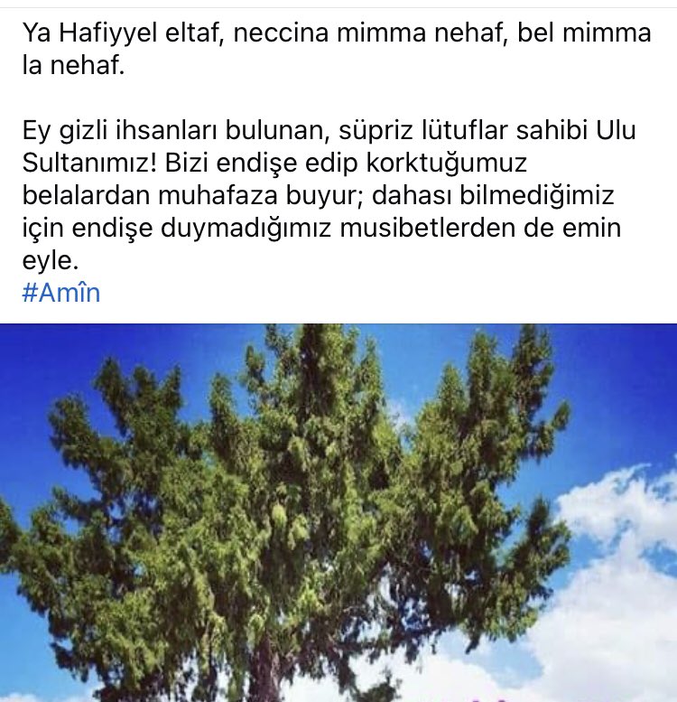 mahfi22's tweet photo. 🤲🏻🤲🏻🤲🏻 https://t.co/RswbeoGjpA
