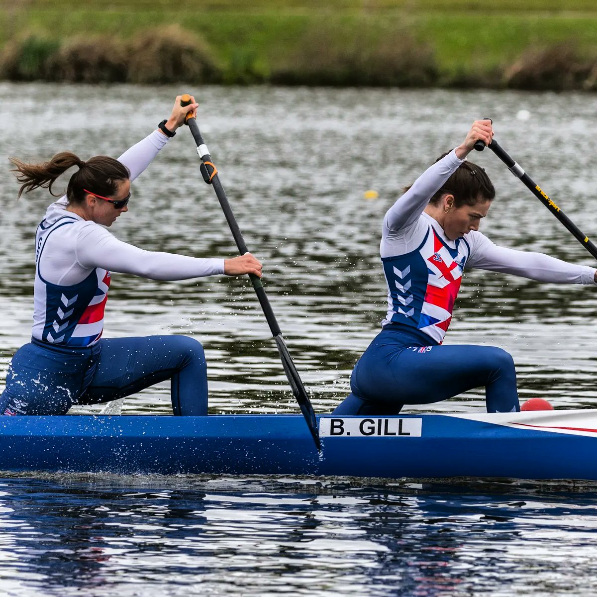 Afton Fitzhenry tweet media