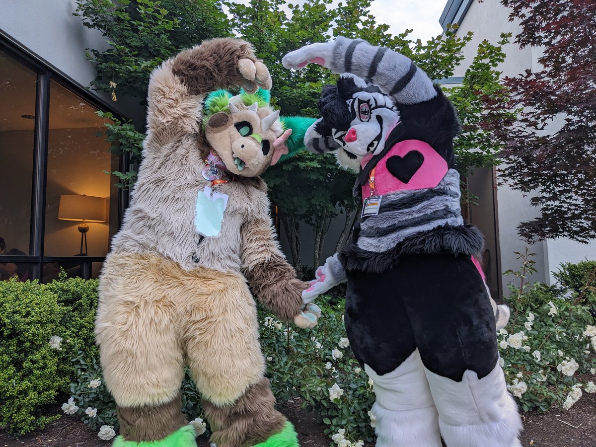 Back from Furlandia 2024!! Had so much fun and I'm so happy to have met some awesome people! 
I did forget to take pictures of my protogen suit Neo-
Hope I can make it to next year's con!!
Pics with Aeon the Dutchie belonging to <a href="/WulfrykD/">Wulfryk The Dragon (Team Fossil) 🌻</a>

#furlandia #furlandia2024