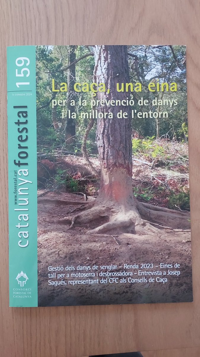 Emocionat en rebre la revista catalunya forestal del <a href="/cfcatalunya/">Consorci Forestal</a> en què s'inclou #Silvestreyelleñador com a publicació forestal. 🌳🌲🌳🌲
💚Moltes gràcies per la vostra ajuda💚
#educacióperalsboscos 
#gestióforestalperaleducació