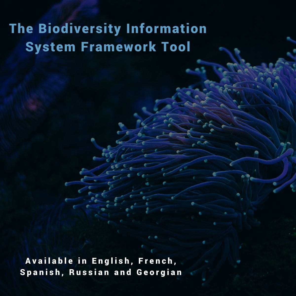 Identify and address capacity development needs in an information system for #biodiversity-related topics with this new Biodiversity Information System Framework tool! The new interactive tool can be found here: eu1.hubs.ly/H08xXQW0 Via @unepwcmc