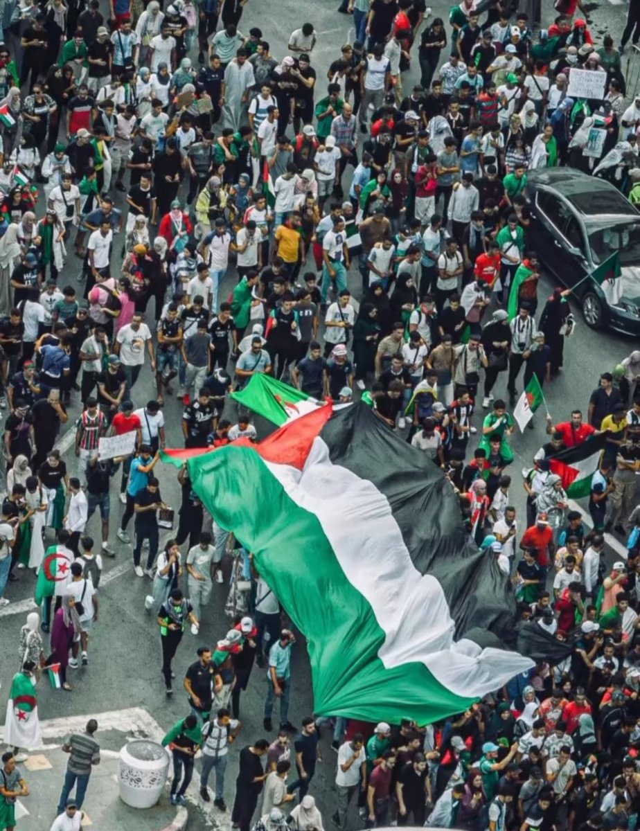 cesstpasmoii's tweet photo. #FreePalestine 🇵🇸 https://t.co/f7VkP1jVVt