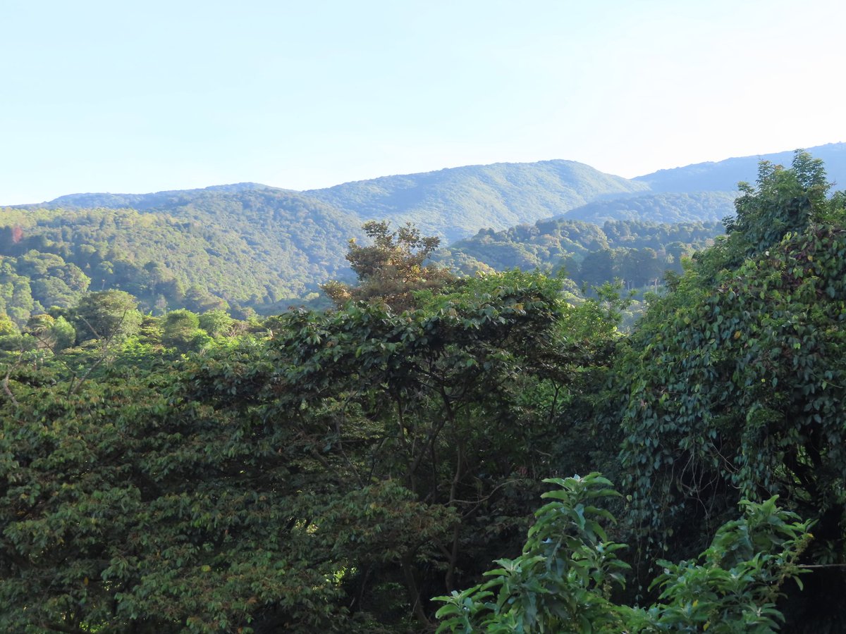 Good morning from Costa Rica. 🇨🇷