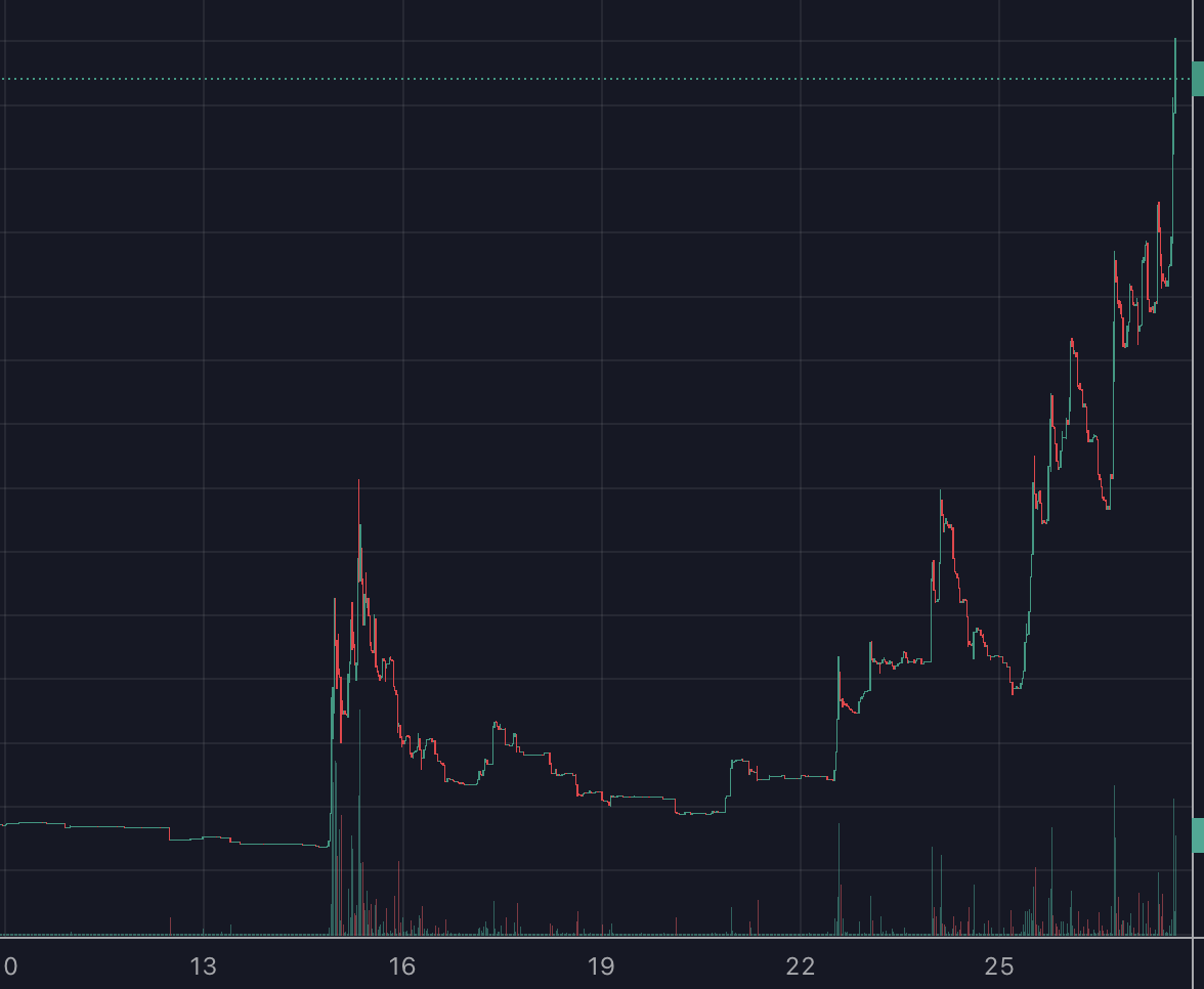 vickvinegar_eth's tweet photo. Patient Frogies have been rewarded! Lets break the ATH!!! https://t.co/UoEMnjaNkR