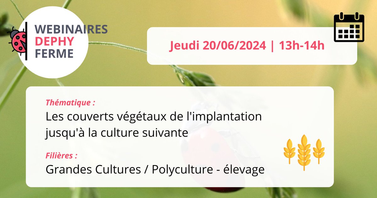 [WEBINAIRE DEPHY FERME] 🐞
Les couverts végétaux en GCPE 🌱
📅 Jeudi 20 juin | 13h-14h

Infos &amp; inscription 👉 
#webinaire #DEPHY #DEPHYFERME #GCPE #couverts